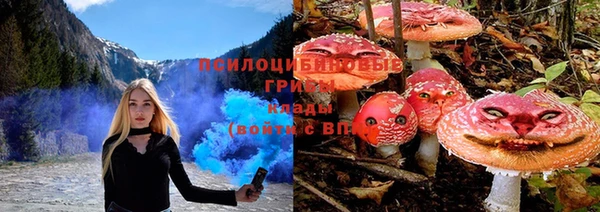 СК Михайлов