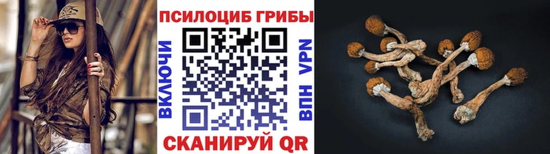 Галлюциногенные грибы Cubensis  Купить где  Миасс