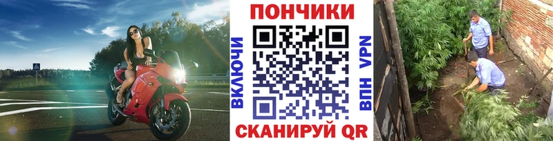 Купить где  Миасс  Шишки марихуана AK-47 